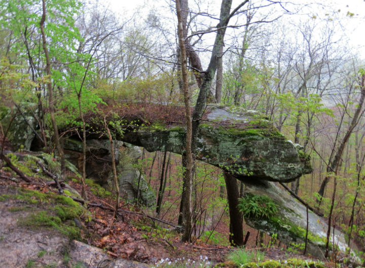 rock formation
